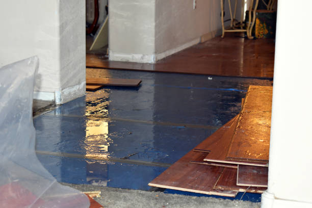 Professional Basement Water Removal technician working in Brownsburg, IN