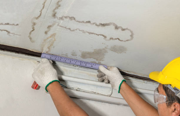 Reliable Basement Water Removal contractor in Brownsburg, IN by Water Damage Irwin
